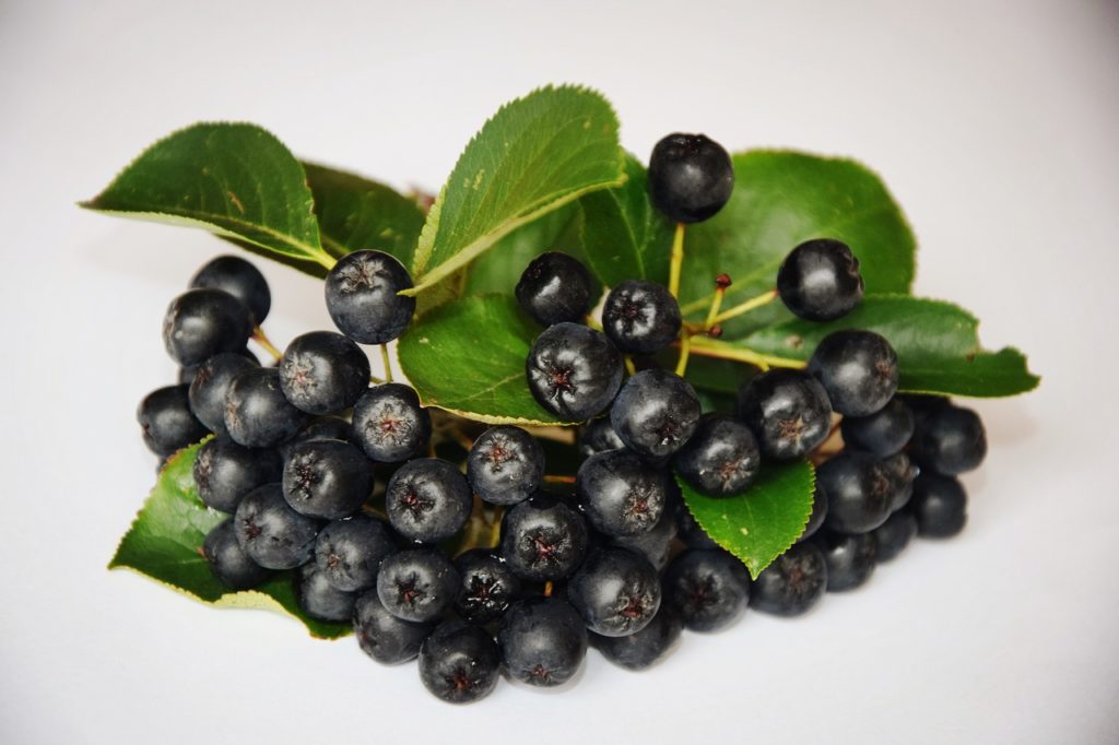 Vitamin C in Aronia