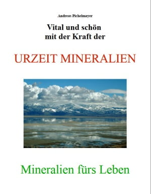 E-Book Urzeitmineralien