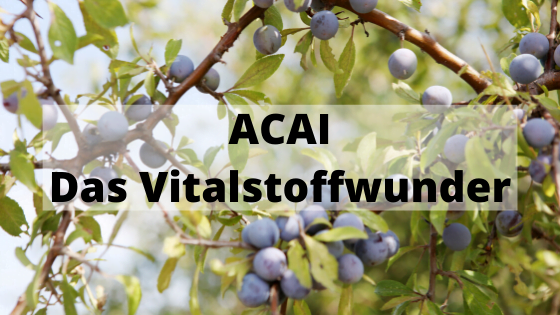 Acai Beeren - das Vitalstoffwunder