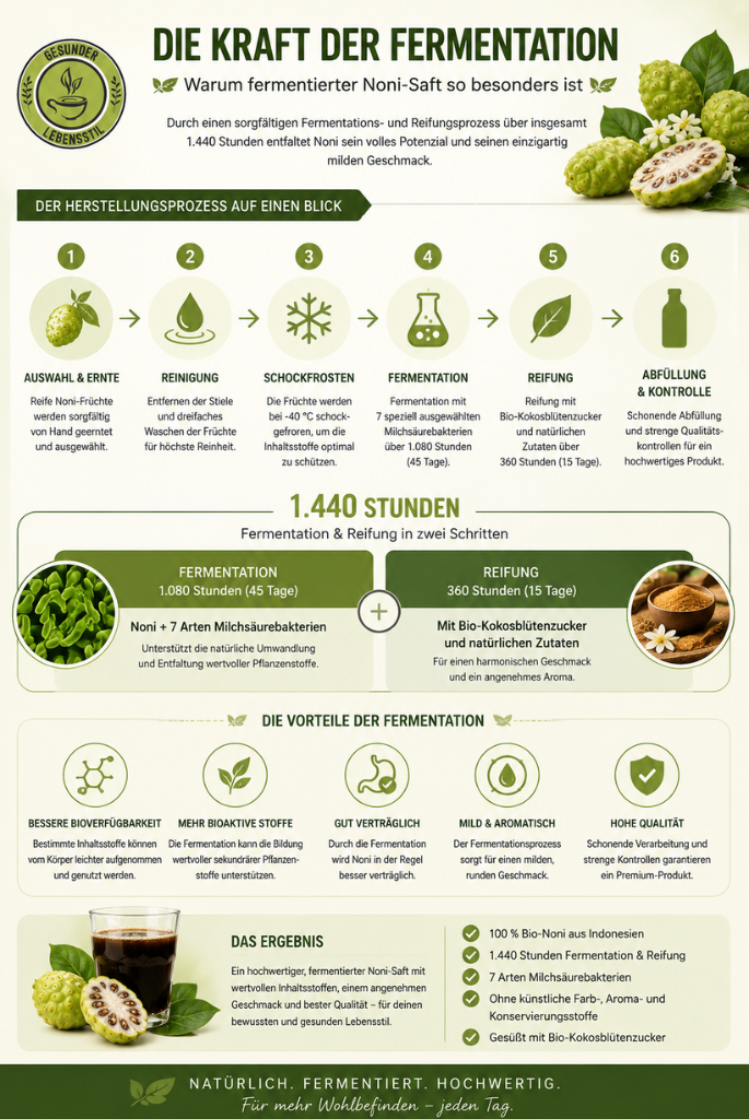 Erklärung der Fermentation