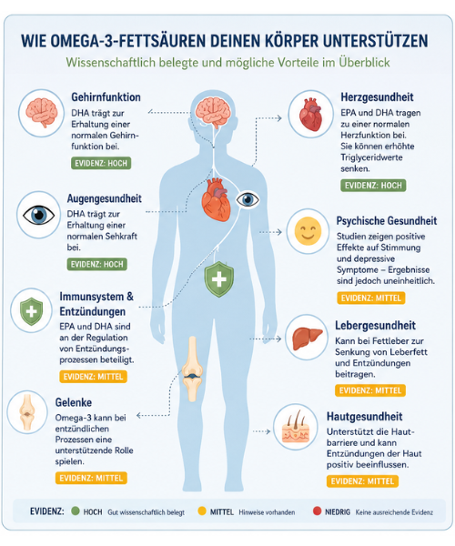 Omega-3-Fettsäuren für den Körper
