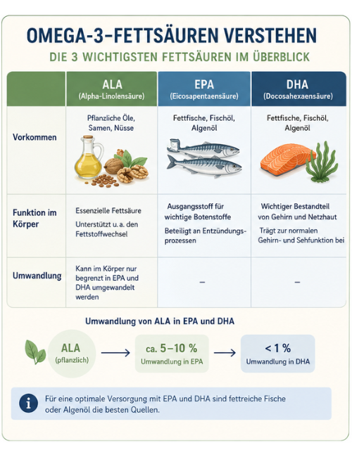 Omega 3 Fettsäuren verstehen