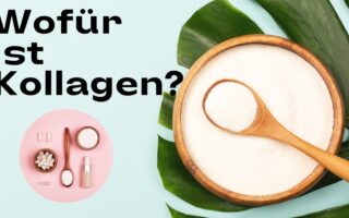 Wofür ist Kollagen
