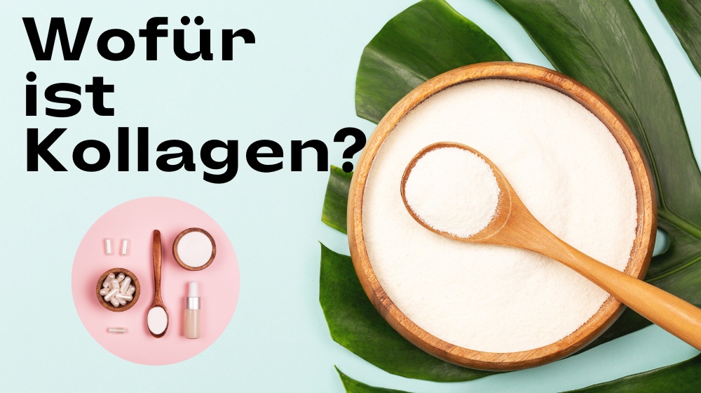 Wofür ist Kollagen