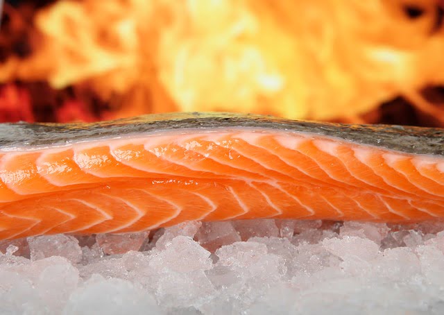 Omega 3 fettsäuren im Lachs