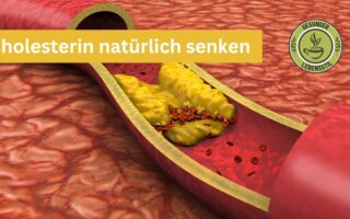 Cholesterin natürlich senken