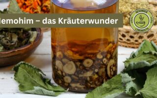 Hemohim – Das koreanische Kräuterwunder