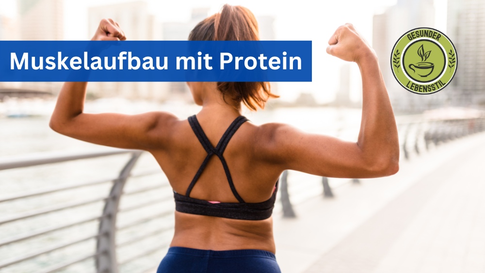 Muskelaufbau Protein – So unterstützt Eiweiß deinen Muskelaufbau